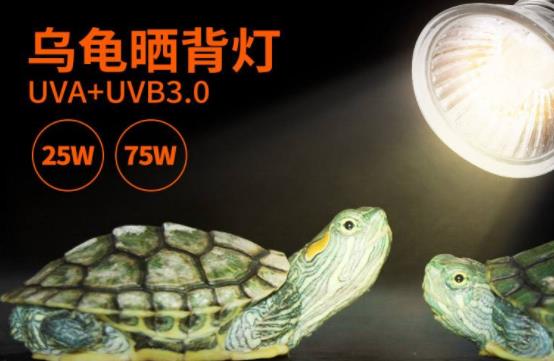 uvb燈是什么燈(uvb燈對(duì)烏龜?shù)淖饔?