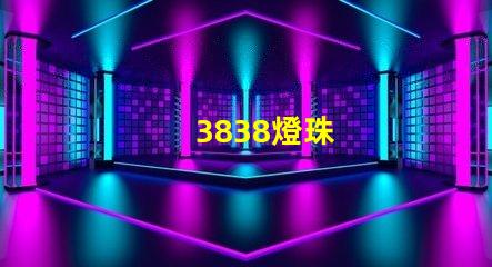 3838燈珠