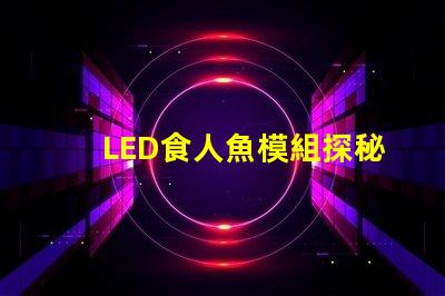 LED食人魚模組探秘新型LED食人魚模組的優勢與應用