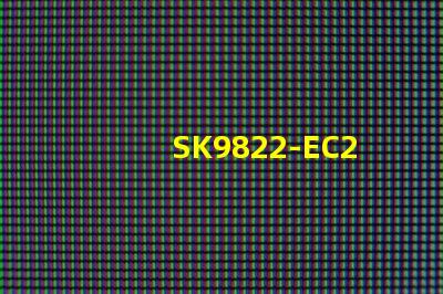 SK9822-EC20