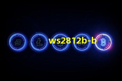 ws2812b-b