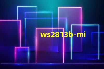 ws2813b-mini