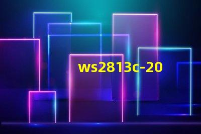 ws2813c-2020