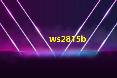 ws2815b