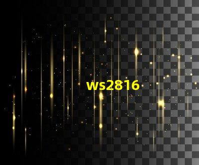 ws2816