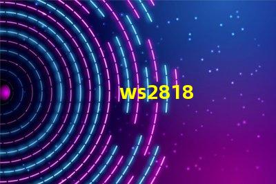 ws2818