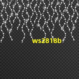 ws2818b