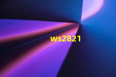 ws2821