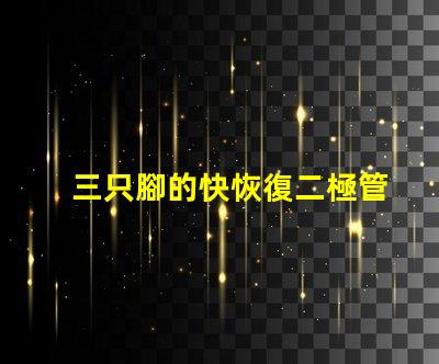 三只腳的快恢復二極管探索高效能電子元件的秘密