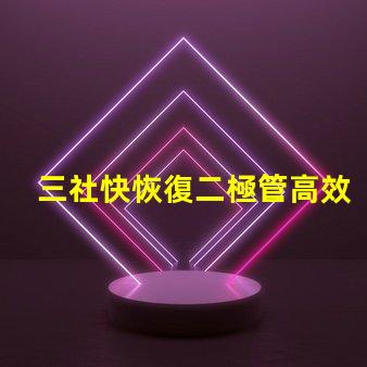 三社快恢復二極管高效能與速度的完美結合