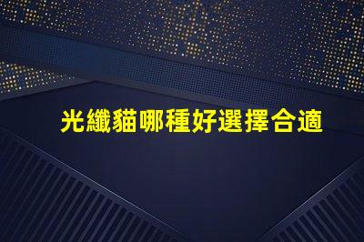 光纖貓哪種好選擇合適光纖貓的終極指南