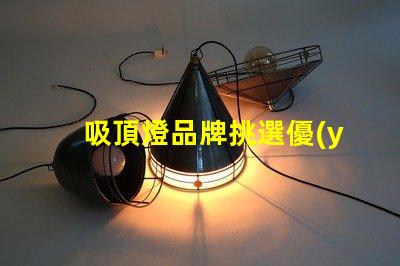 吸頂燈品牌挑選優(yōu)質(zhì)吸頂燈品牌的實(shí)用指南