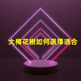 大梅花樹如何選擇適合的栽培環境