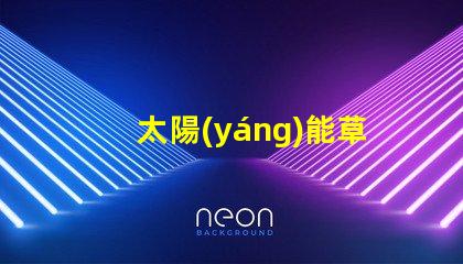 太陽(yáng)能草坪燈廠家行業(yè)領(lǐng)先的太陽(yáng)能燈具供應(yīng)商