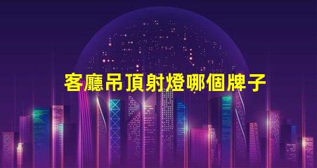 客廳吊頂射燈哪個牌子好市場上最受歡迎射燈品牌解析