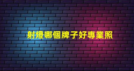 射燈哪個牌子好專業照明品牌推薦,助您挑選高品質射燈