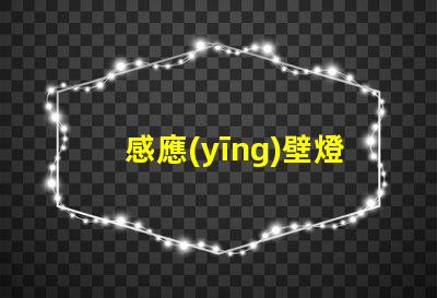 感應(yīng)壁燈智能感應(yīng)技術(shù)提升安全性嗎