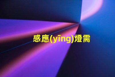 感應(yīng)燈需要電源嗎揭秘感應(yīng)燈背后的電源秘密
