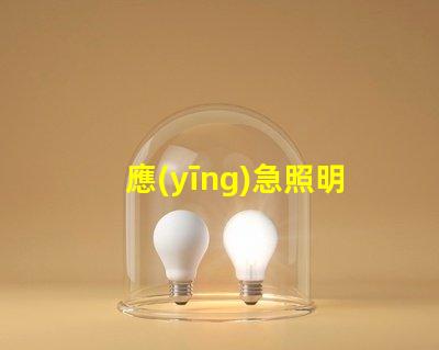 應(yīng)急照明及疏散指示系統(tǒng)如何提高安全性與效率的關(guān)鍵設(shè)施