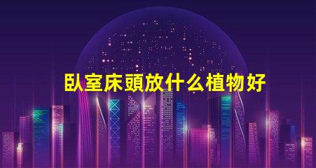 臥室床頭放什么植物好助眠植物推薦與效果分析