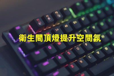 衛生間頂燈提升空間氛圍的照明選擇