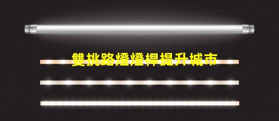 雙挑路燈燈桿提升城市夜景品質(zhì)的選擇