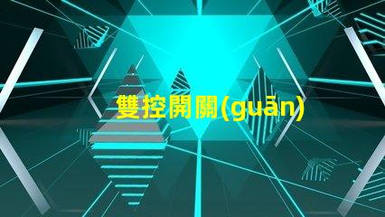 雙控開關(guān)提升家居便利性的智能選擇