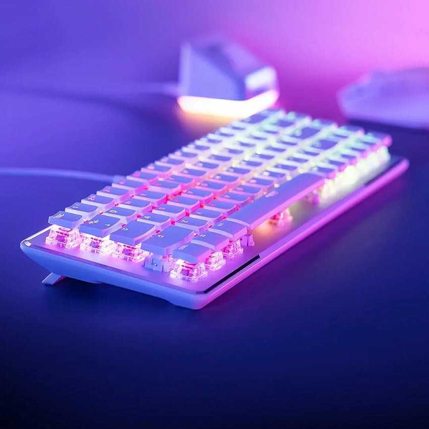 戶外照明：裝飾燈、景觀燈