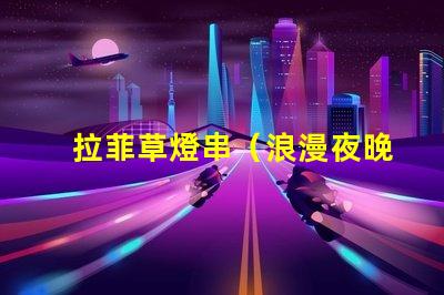 拉菲草燈串（浪漫夜晚的裝飾燈串）