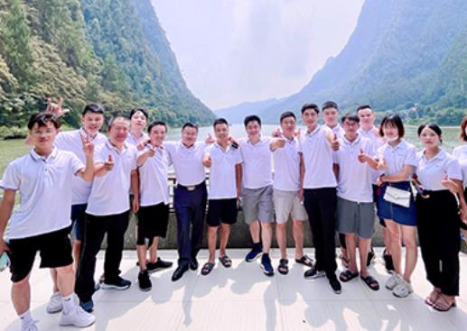 天成led燈珠公司理念家庭運(yùn)營(yíng)模式